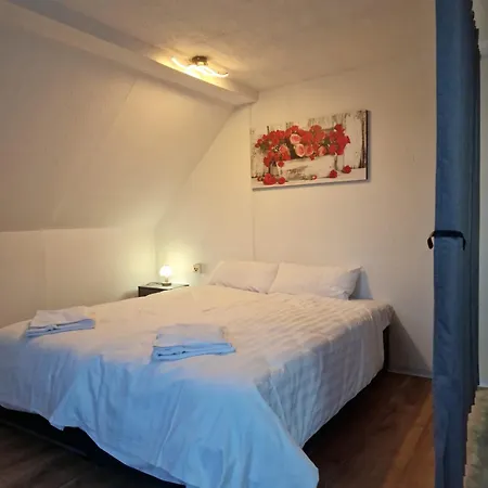 Nt 아파트 *